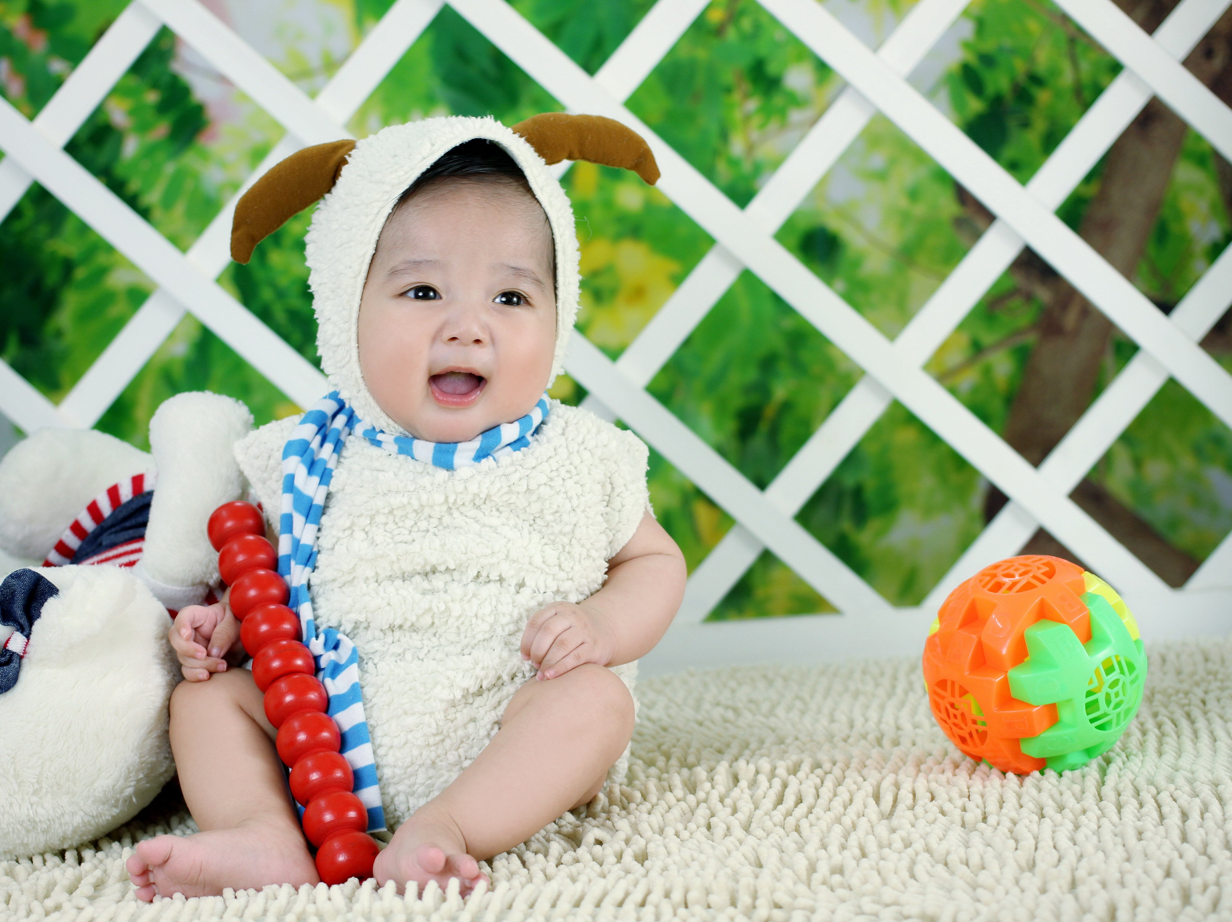 宁波借卵机构2015年试管婴儿成功率